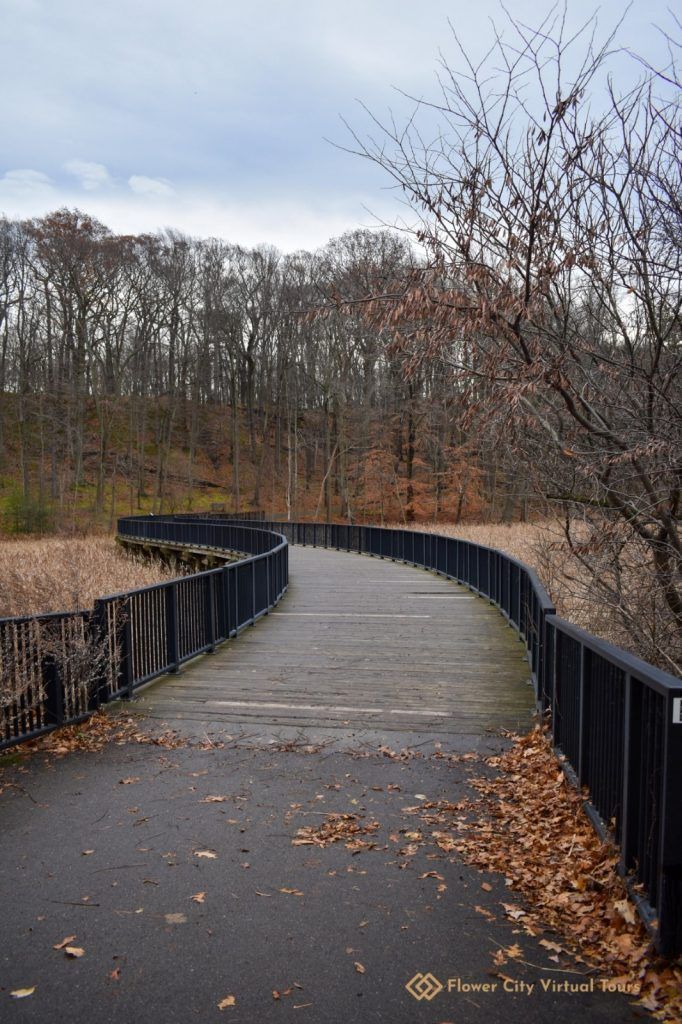 Durand Eastman Park, Rochester NY, photo 5