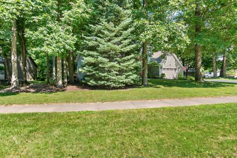 109 Brush Creek Drive, photo 7