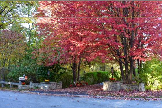 605 Wild Mallard Trail, photo 10