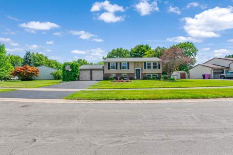 81 Castle Grove Drive, photo 2