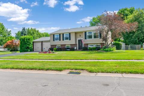 81 Castle Grove Drive, photo 3