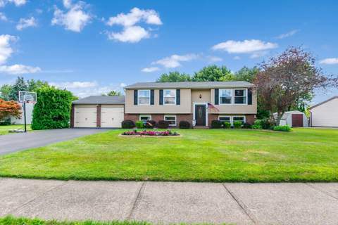 81 Castle Grove Drive, photo 4