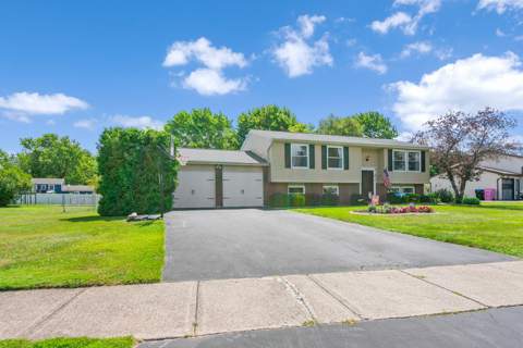81 Castle Grove Drive, photo 5