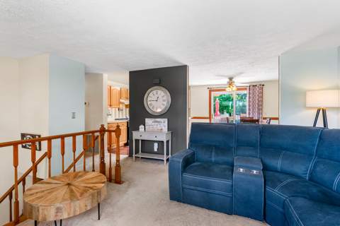 81 Castle Grove Drive, photo 15