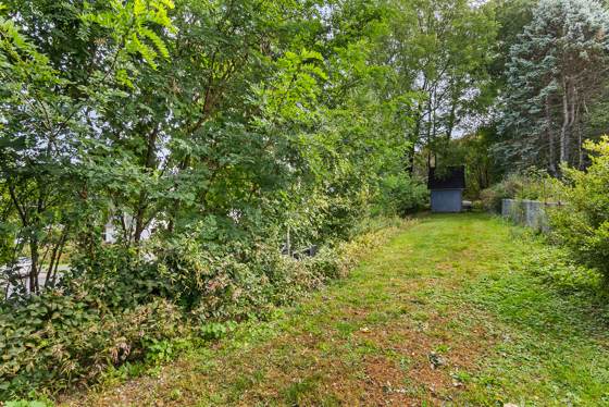 The Nest Cottage, photo 4